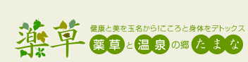 健康と美を玉名から！こころと身体をデトックス　薬草と温泉の郷たまな