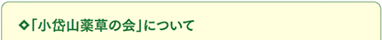 小岱山薬草の会について