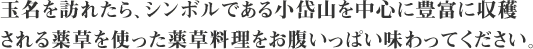 玉名を訪れたら、シンボルである小岱山を中心に豊冨に収穫される薬草を使った薬草料理をお腹いっぱい味わってください