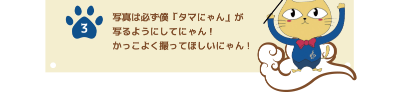 3.写真は必ず僕「タマにゃん」が写るようにしてにゃん！かっこよく撮ってほしいにゃん！