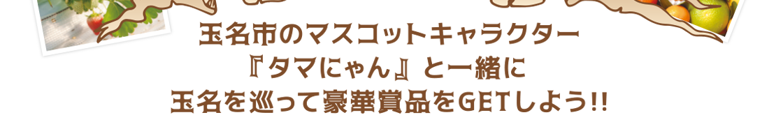 玉名市のマスコットキャラクター『タマにゃん』と一緒に玉名を巡って豪華賞品をGETしよう!!