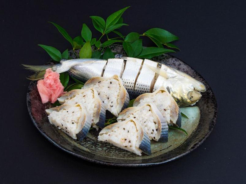 玉名地方のハレの日のごちそう このしろ寿司作り体験 たまララ