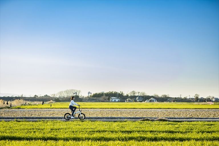 2023年4月より「E-bikeレンタル」始めます! たまララ ご予約品!令和2年4月なつかシリーズになります。